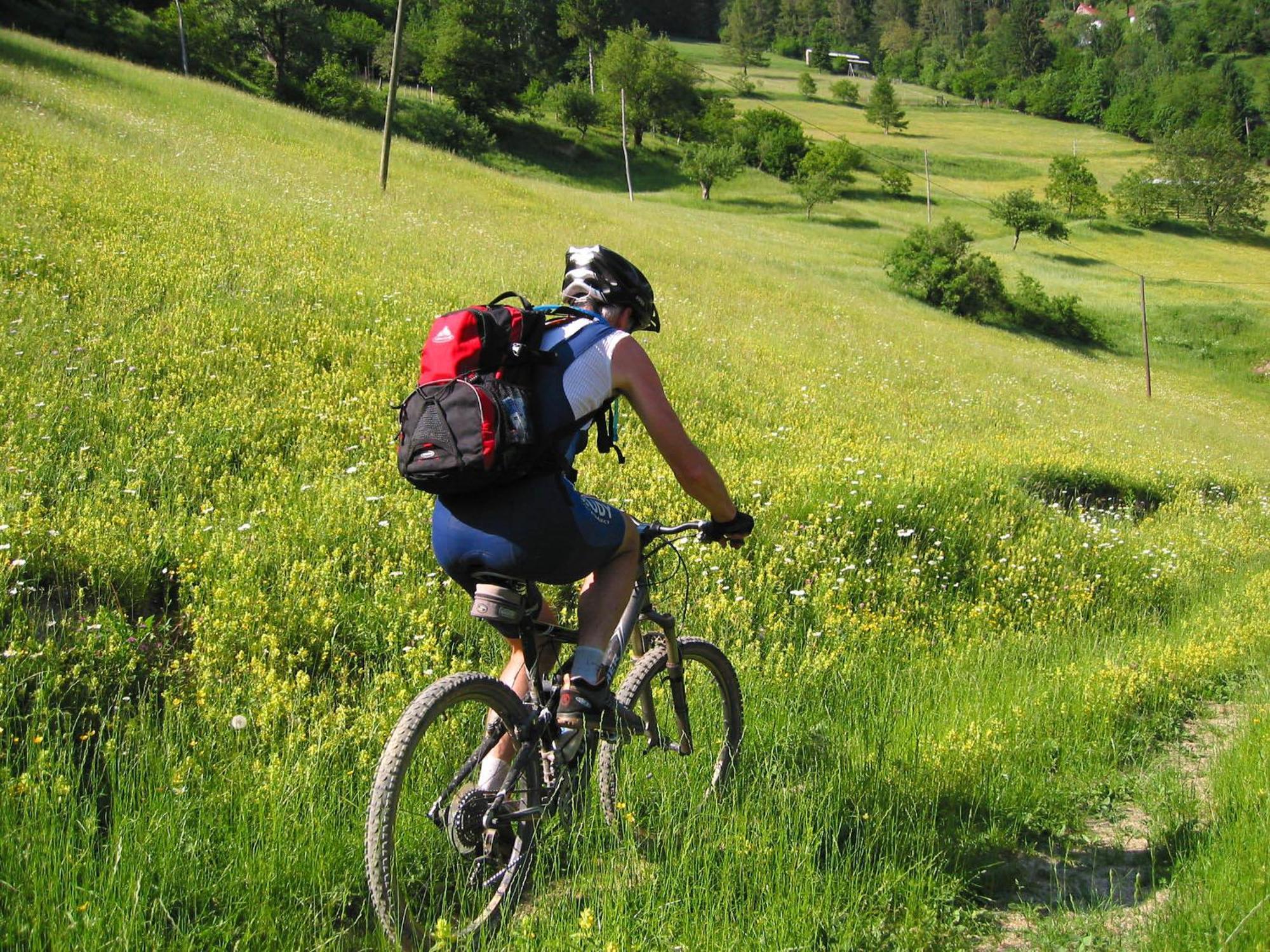 Hotel Center Pokljuka Goreljek Luaran gambar